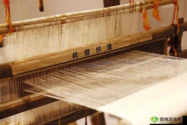 起来还在 C 骨科:坚守与突破