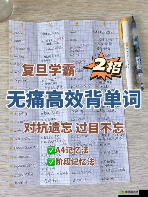 思维坐在学霸的鸡上背单词双楠：高效学习法