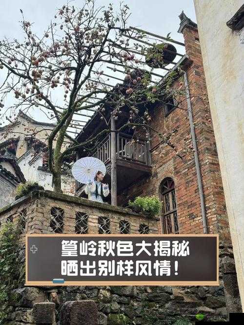 www.7777怡红院:探寻别样风情之地