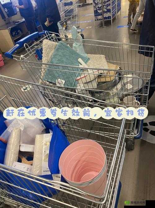 小扫货水能么多叫出来公:带你探索购物的无限可能