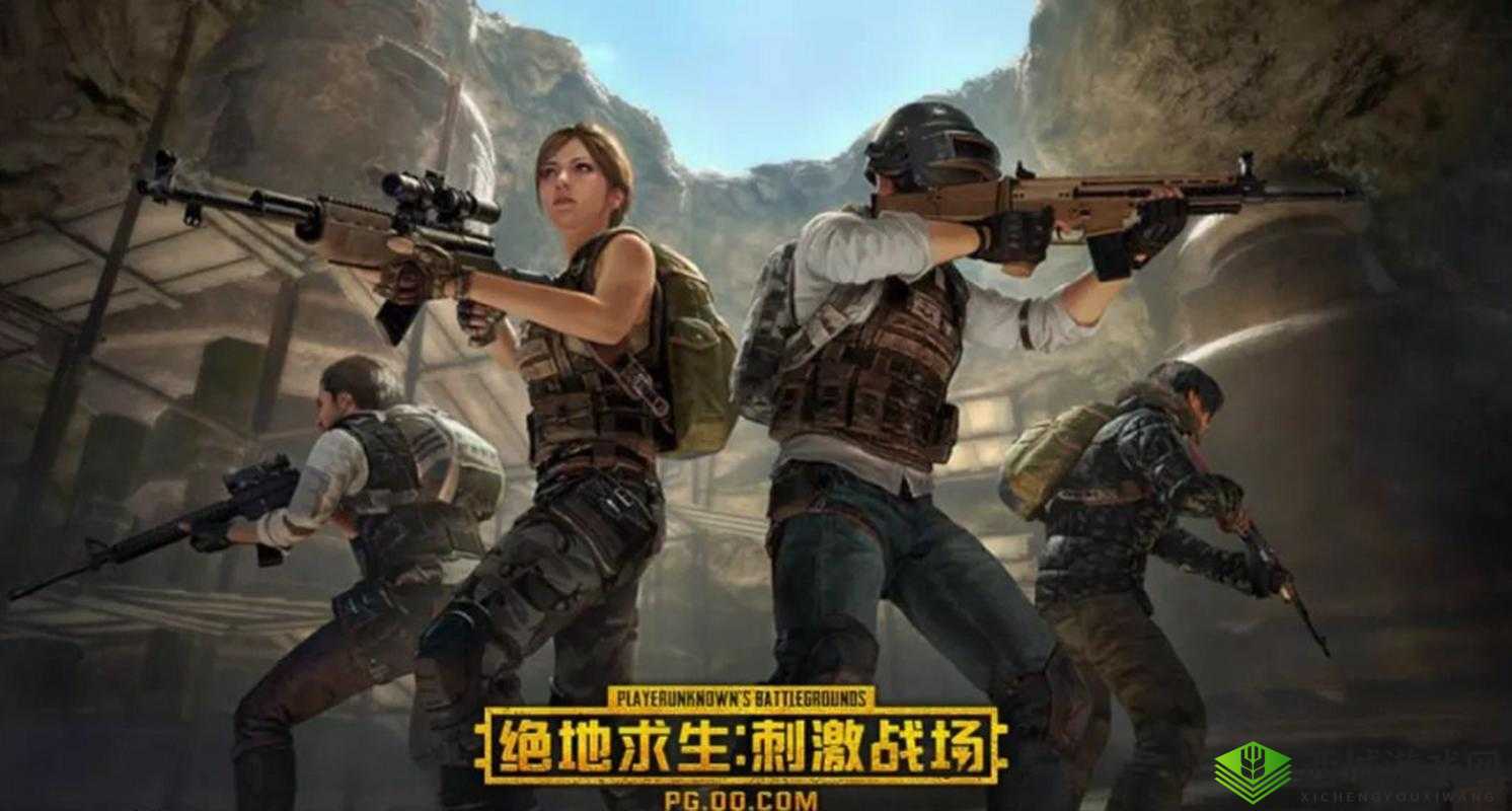 绝地求生刺激战场,野外作战的艺术与策略