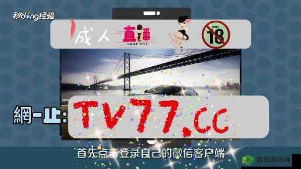 茄子短视频:发现精彩,分享美好
