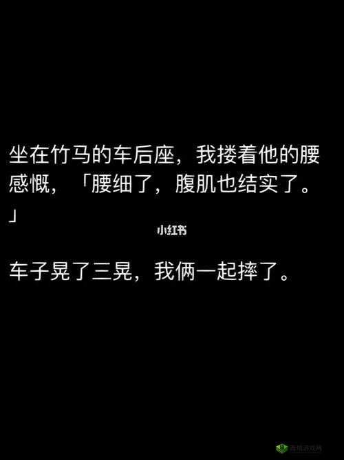共享校霸(n):一粒笋的别样校园风云故事